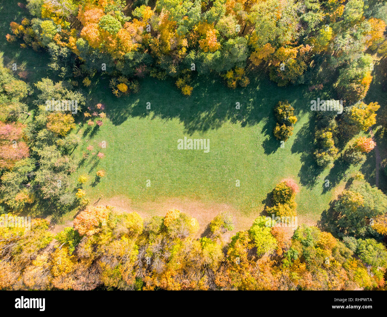 Antenne Blick von oben auf die herbstlichen Park Rasen mit gelb leuchtenden Bäume und ihre Schatten voraus. Stockfoto