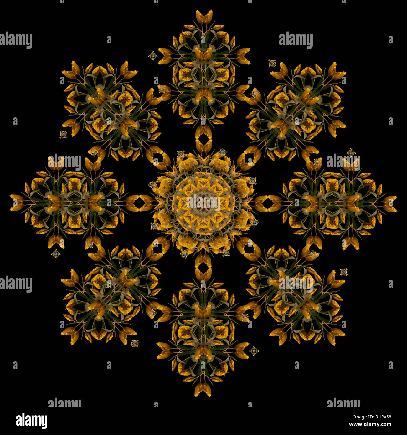 Fine Art Floral dekorative und symmetrische fractal Farbmuster aus Makros des goldenen gelb grün Tulpen auf schwarzem Hintergrund, vintage Malerei Stockfoto