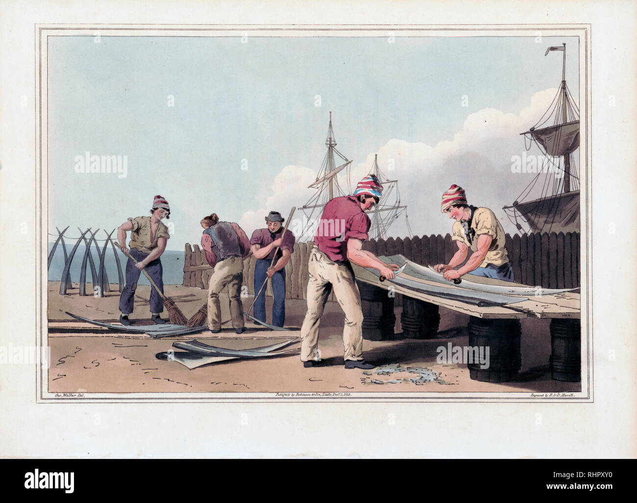 Fischbein Abstreifer 1800 Drucken Stockfoto