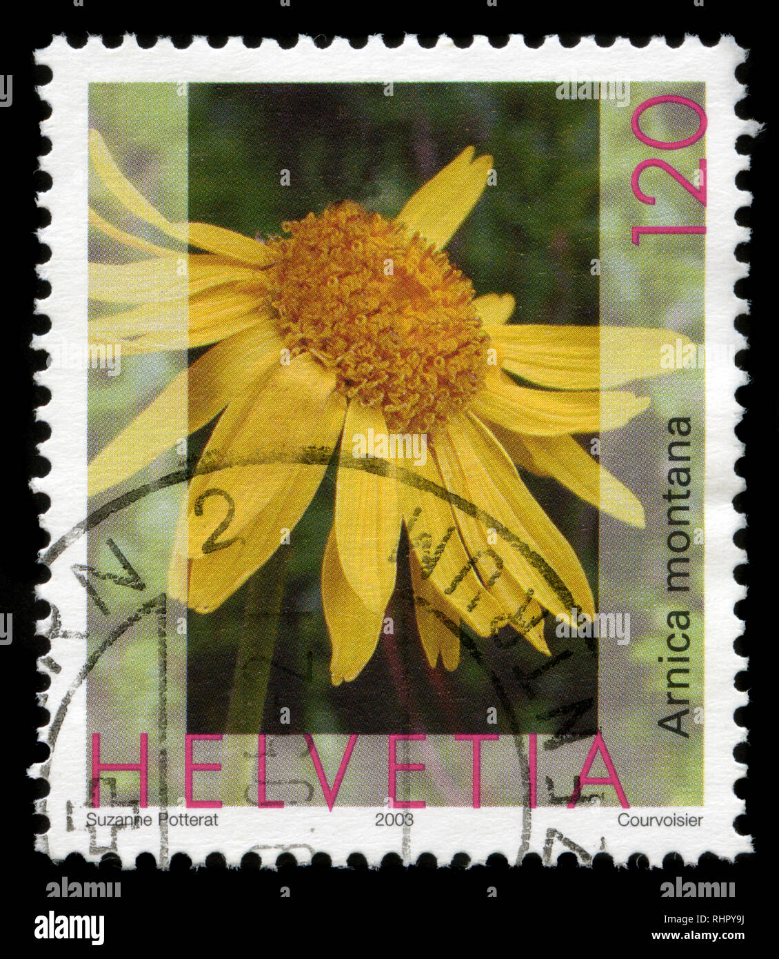 Briefmarke aus der Schweiz in der Flora Serie in 2003. Stockfoto