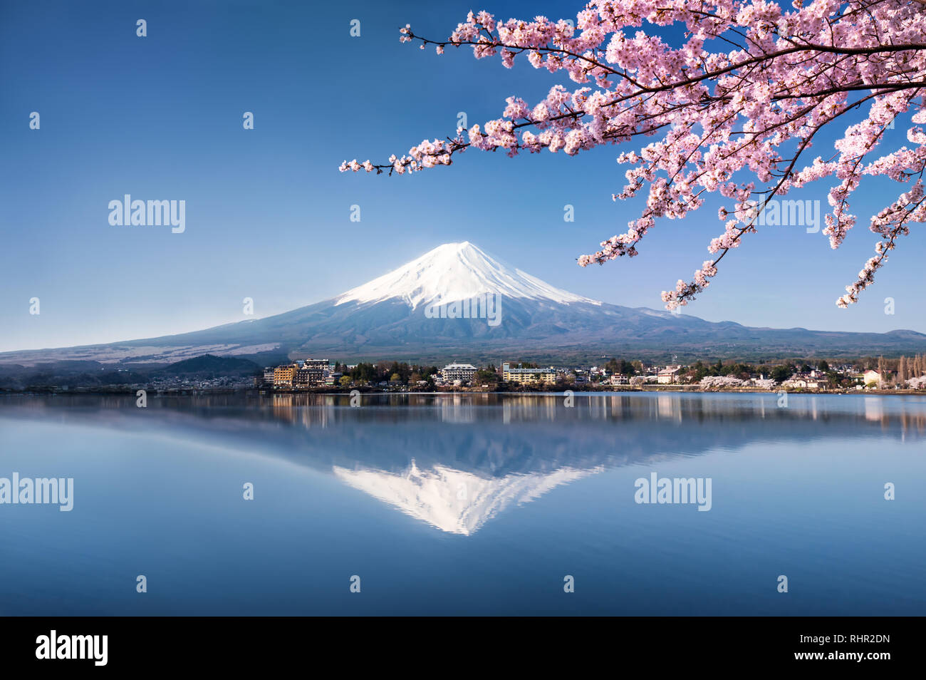 Mount Fuji mit Kirschblüte Baum im Frühling Saison, See Kawaguchiko, Japan Stockfoto