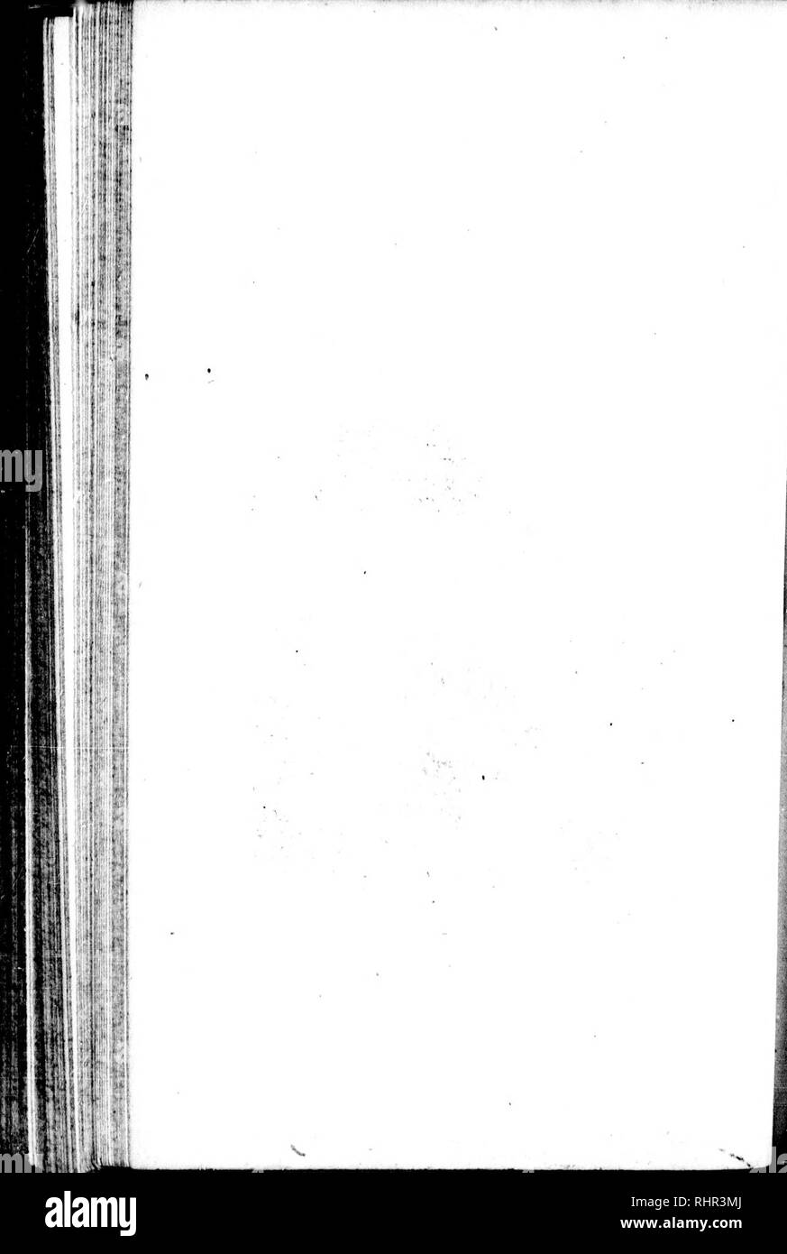 . Die Naturgeschichte der Vögel [microform]: Aus dem Französischen von Graf de Buffon. Ornithologie; Vögel; Ornithologie; Oiseaux. . Bitte beachten Sie, dass diese Bilder sind von der gescannten Seite Bilder, die digital für die Lesbarkeit verbessert haben mögen - Färbung und Aussehen dieser Abbildungen können nicht perfekt dem Original ähneln. extrahiert. Buffon, Georges Louis Leclerc, comte de, 1707-1788. London: Gedruckt für A. Strahan und T. Cadell in der Faser, und J. Murray. .. Stockfoto
