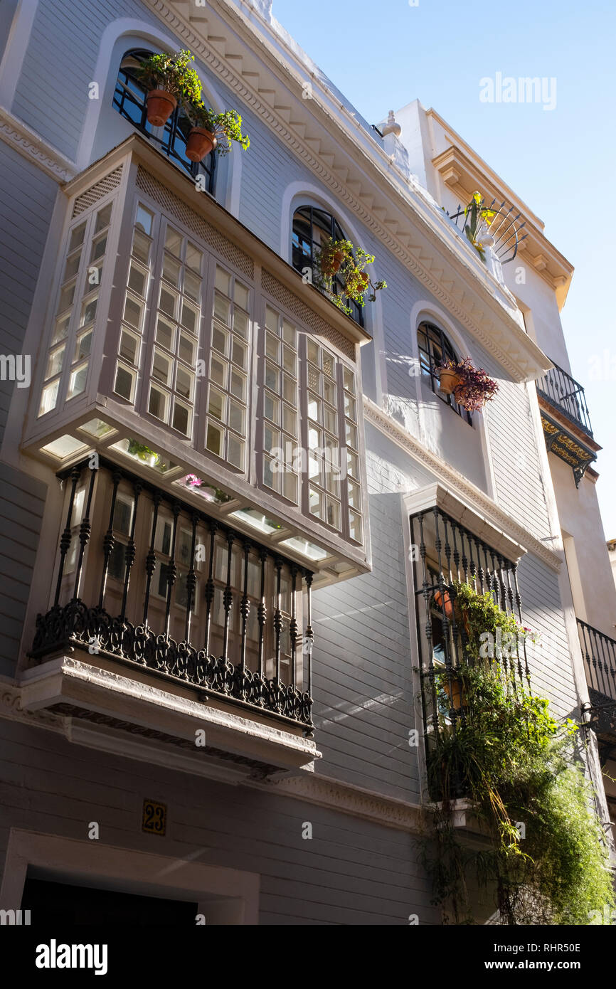 Schöne boxed Glas Balkon auf Pastell grau gefärbte shiplap Holz verkleideten Haus im Sonnenlicht mit Blumenkästen und Pflanzen Sevilla Spanien gebadet Stockfoto