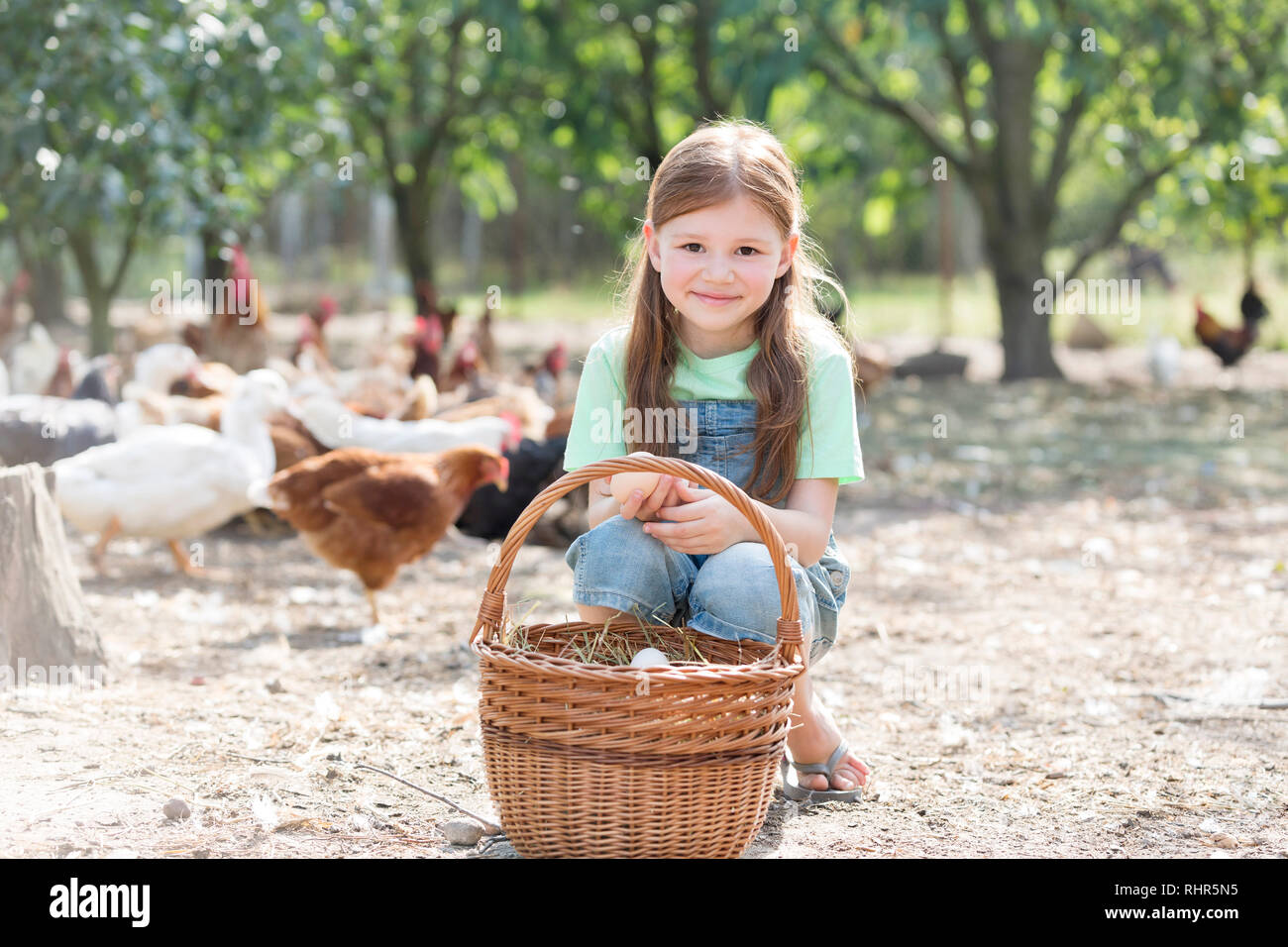 Portrait von nettes Mädchen mit Eier im Korb gegen Hühner auf dem Bauernhof Stockfoto