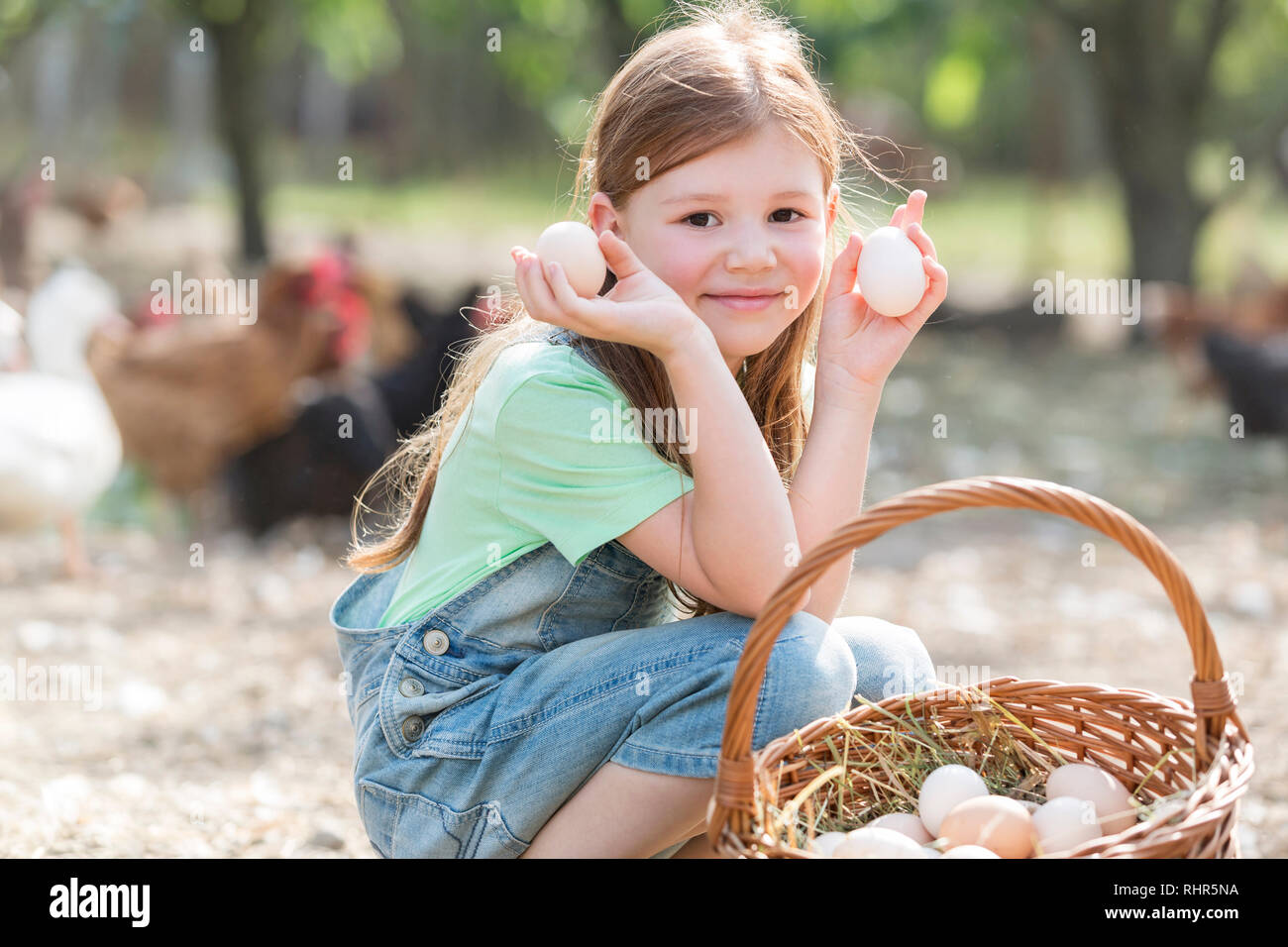 Portrait von cute girl Holding Eier aus Korb auf der Farm Stockfoto