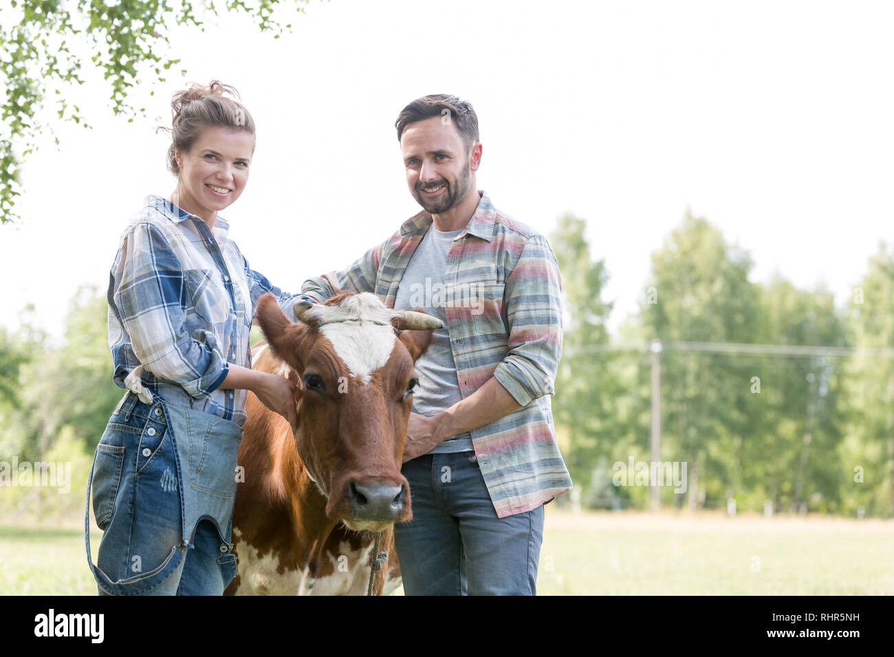 Portrait von lächelnden Paar stehend mit Kuh auf dem Bauernhof Stockfoto
