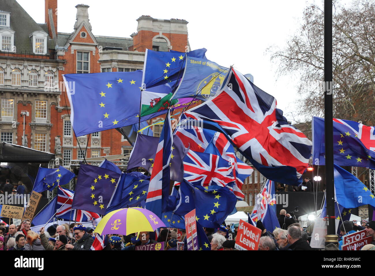 Brexit Proteste vor den Häusern des Parlaments Stockfoto