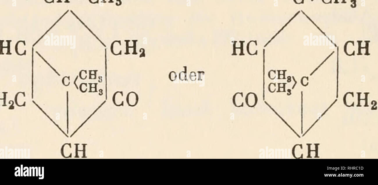 Fenchon . Biochemie der Pflanzen. Pflanzenphysiologie; Botanische Chemie. 664 ...