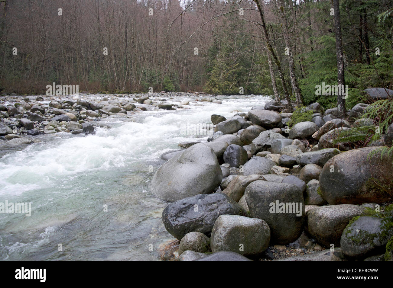 Ein Fluss in British Columbia, Kanada während eines Frühjahr Tauwetter biegen. Lynn River Stockfoto