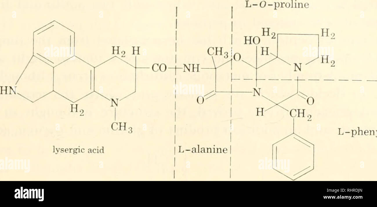 Biochemie Der Pflanzen Und Tiere Eine Einfuhrung Biochemie