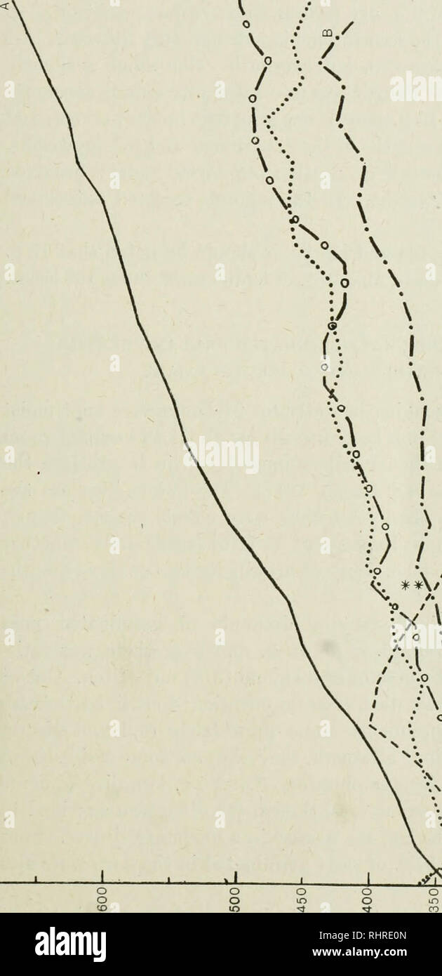 . Die Biochemische Zeitschrift. Biochemie. Trocken und die gekeimten Samen; 205 o O.* CD, '/.: â ¢ o v&gt;*.o9 I I S;. 1 3 ;o) // // /; //â¢ o - a/0,-^1 W A/O S/I/Â"n^-*-3 Â" 3 r^§ 2 bÂ"Â"- Ein bb o '^a a '^' • S O g tcMj^ sÂ £ c "^s Â"&gt; ich.^ "o" (D S ^^bC tSc/2"^^ -"^ Â" 073 § - f -=*Â®-*^ "o CO auf. 41 n Th für oake als Ol O • "03 O 0 i 2;-T3. "* &Lt;B Abl. bfl '^. 'O^^t^^-s^s S-Q^â Â" g ist O1 o S^^a, o-3 anc Ided avec des] aver ce-ra auf "'3 jH 03 - ^ •=; a-Q cs a-p-o 1 a e, Hafer, Milch wi 60 cc. Stockfoto