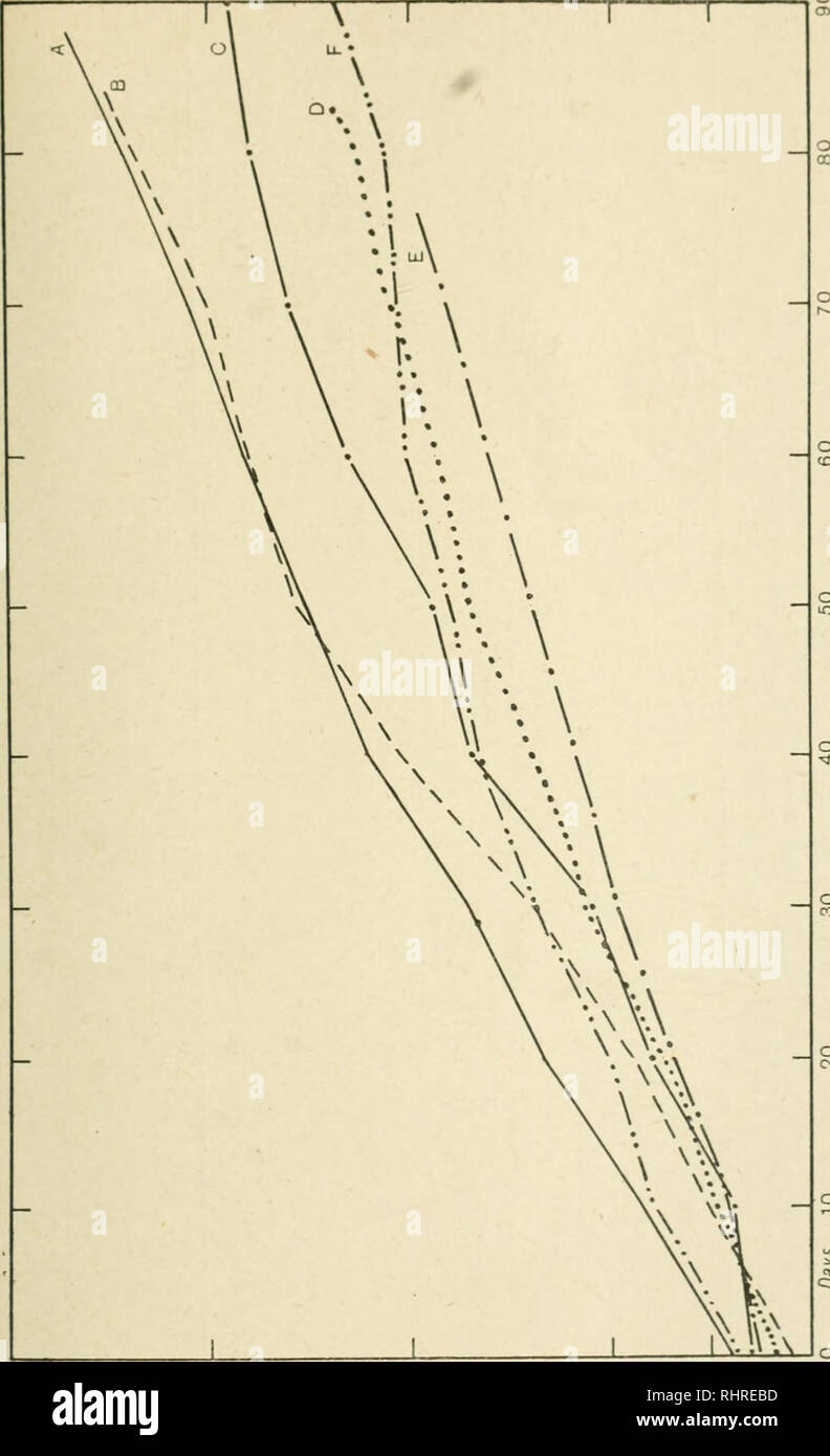 . Die Biochemische Journal, 1918. Biochemie. ANTISCORBUTIC EIGENSCHAFTEN VON KOHL 433. o j^x: -" "3;];] â^ wi X X X X X X X xi y. o,-^ = a c -^- = rS s - O J O5jj O O-^:: s â Â £^^ CO â"* -^o - k"^^ u CO o Ich £ -^â o s tc c5-. • 5 c c a&gt; o O^M C (N O^o m n o ABL â j: cc Â". Ein "c C^"'^o 0) tc te-J5 0) ein r-^j^3t^araBoS ut Jq 9 [9 Ai ipog. Bitte beachten Sie, dass diese Bilder aus gescannten Seite Bilder, die digital für die Lesbarkeit verbessert haben mögen - Färbung und Aussehen dieser Abbildungen können nicht perfekt die orig ähneln extrahiert werden Stockfoto