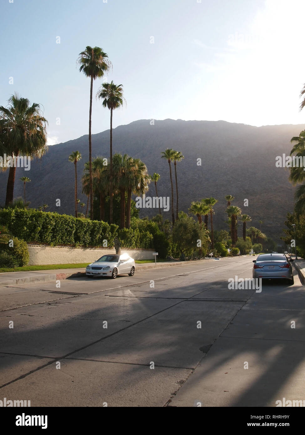Ein Palm mit Bäumen gesäumten Straße durch ein Wohnquartier in Palm Springs, Kalifornien, am späten Nachmittag in der Nähe des Sunset mit Bergen im Ba Stockfoto