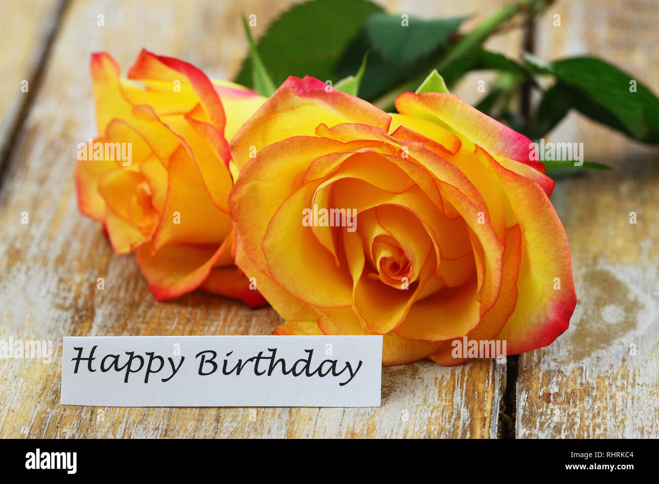 Happy Birthday Karte mit zwei roten und gelben Rosen auf Holzmöbeln im Landhausstil Oberfläche Stockfoto