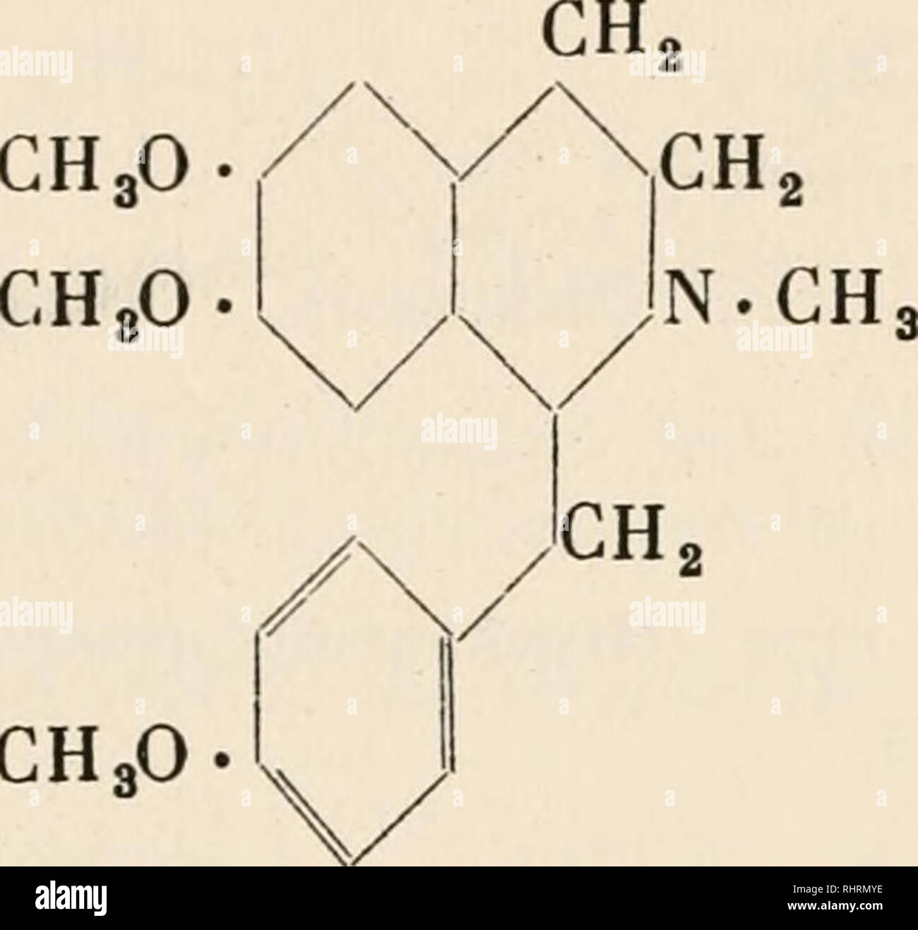 . Biochemie der Pflanzen. Pflanzenphysiologie; Botanische Chemie. OH-CHoO Morphin. OCH 3 Laudanosin CH3O. CH3 O.. Bitte beachten Sie, dass diese Bilder sind von der gescannten Seite Bilder, die digital für die Lesbarkeit verbessert haben mögen - Färbung und Aussehen dieser Abbildungen können nicht perfekt dem Original ähneln. extrahiert. Czapek, Friedrich, 1868-1921. Jena: G. Fischer Stockfoto