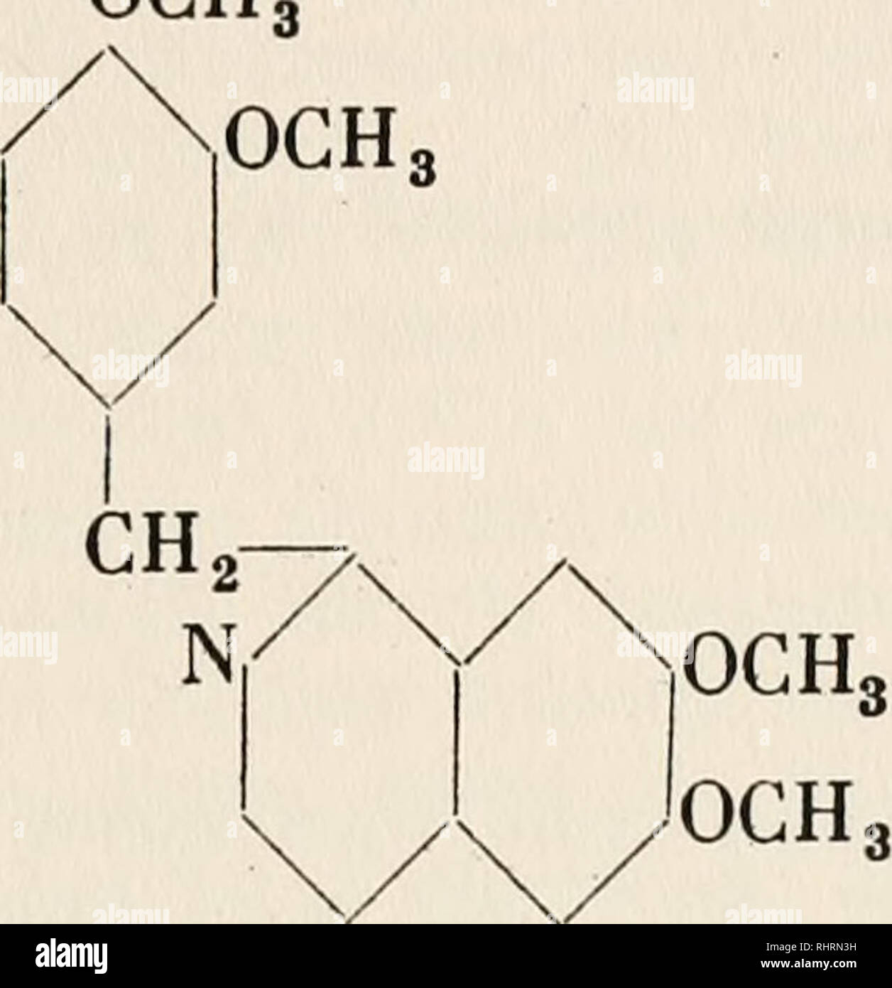 . Biochemie der Pflanzen. Pflanzenphysiologie; Botanische Chemie. § 7. Vom Isochinolin ableitbare Alkaloide. 337 Da Papaverin mit Permanganat oxydiert l, 2,3-Pyridincarbon 8 äure gibt, so muß die Verknüpfung des Isochinolin- und des Benzolkomplexes folgendermaßen gedacht werden: papaverin oder Tetramethoxybenzyl-Isochinolin: Och, Sterben Formel enthält kein asymmetrisches Kohlenstoffatom; in der Tat ist reines Papaverin, wie GoLDSCHMiEDT nachwies, optisch inaktiv. Die vollständige Synthese des Papaverins wurde in neuerer Zeit durch PiCTET und GaMs (1) ausgeführt. Ausgehend vom Veratrol und Vanillin wur Stockfoto
