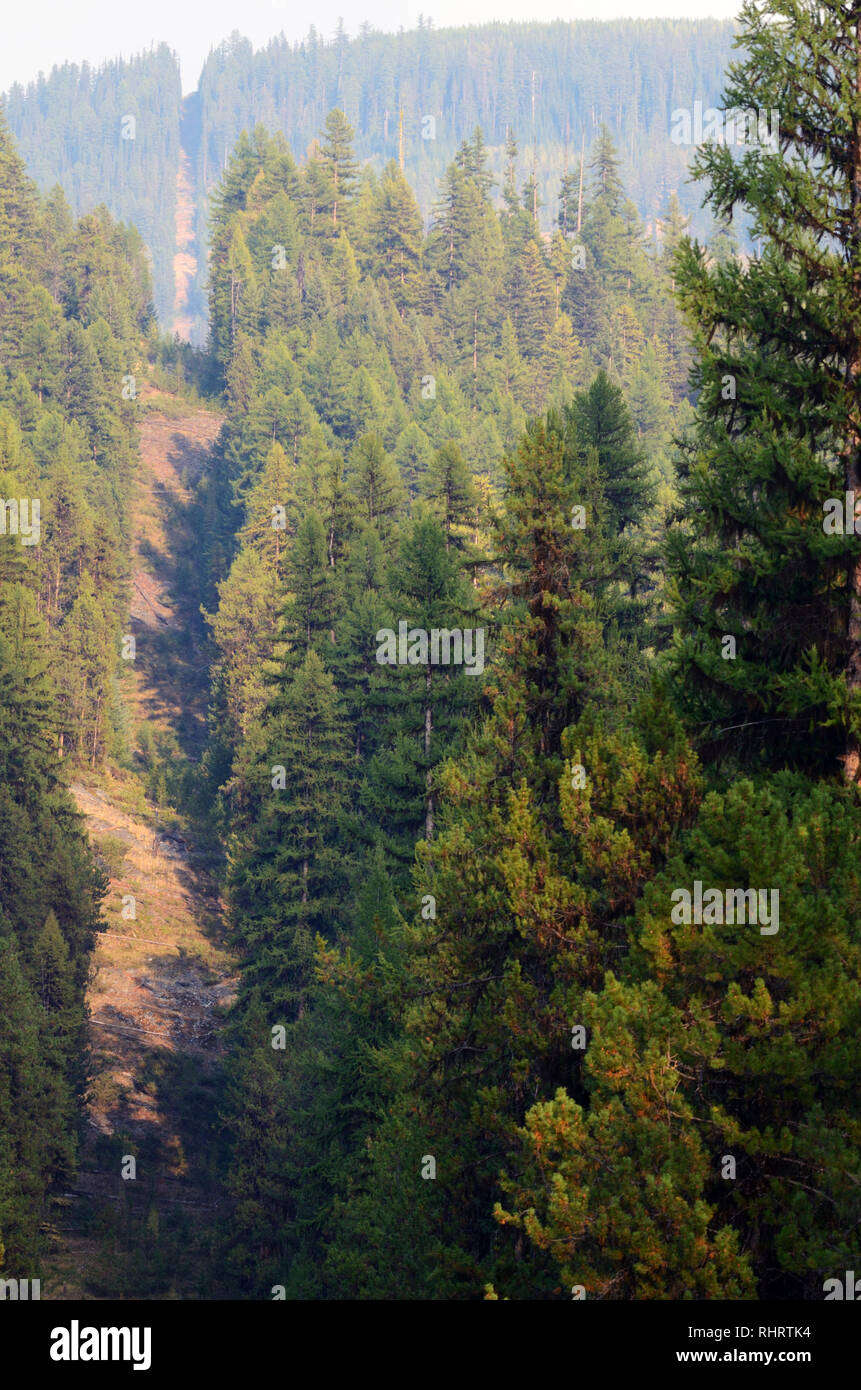 Die Usa Kanada Internationale Grenze Zwischen Montana Und British Columbia Purcell Mountains Northwest Montana Foto Von Randy Beacham Stockfotografie Alamy