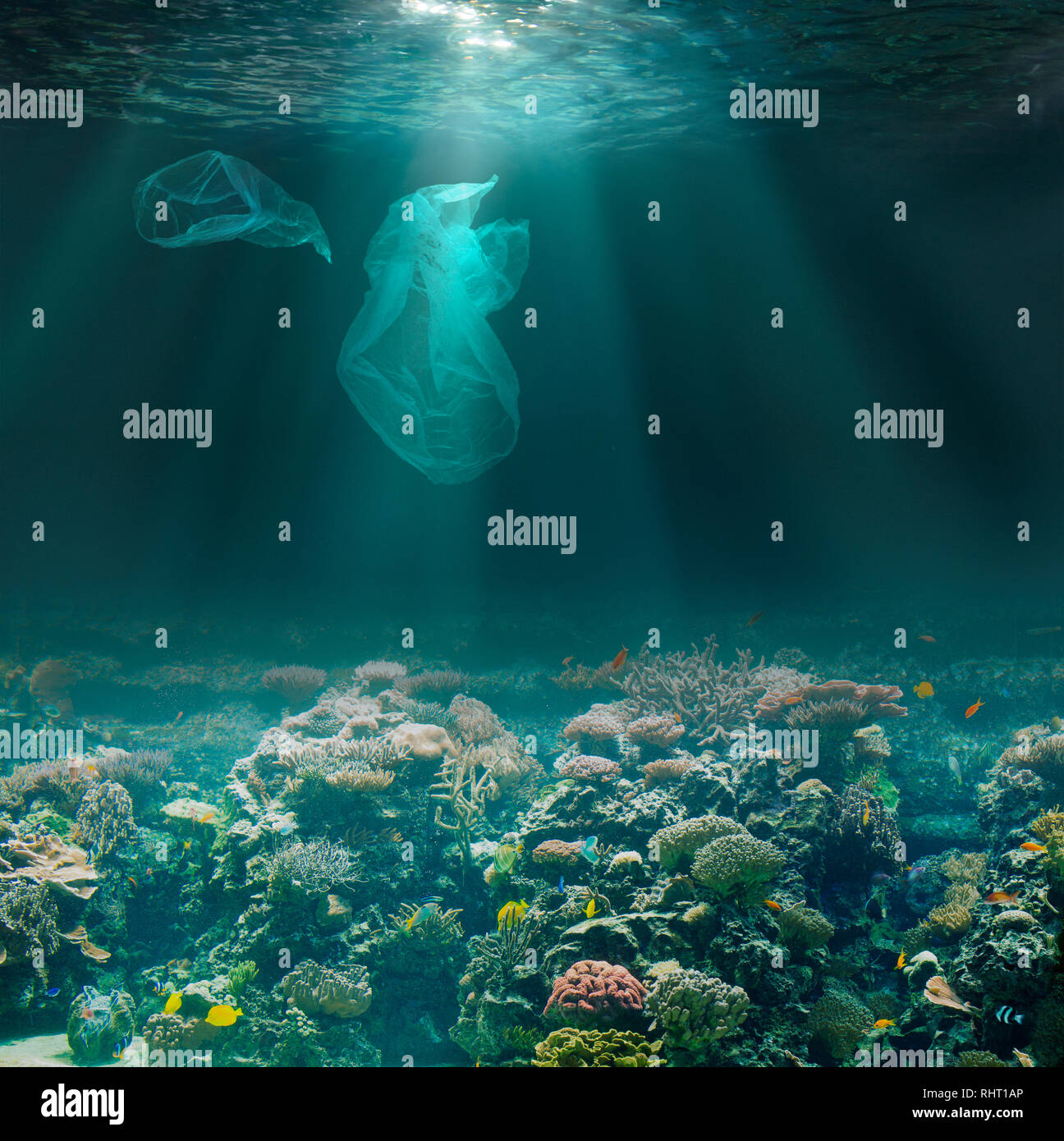 Sea Bed Unterwasser mit Plastiktüten. Umweltbelastungen ökologische Problem. Stockfoto