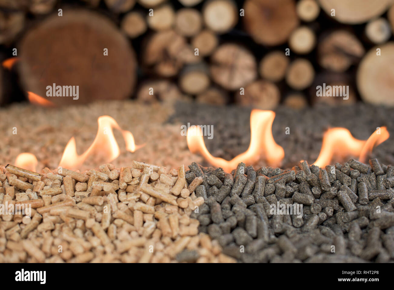 Zwei Arten von Pellets - Kiefer und Sonnenblumenöl in Brand Stockfoto