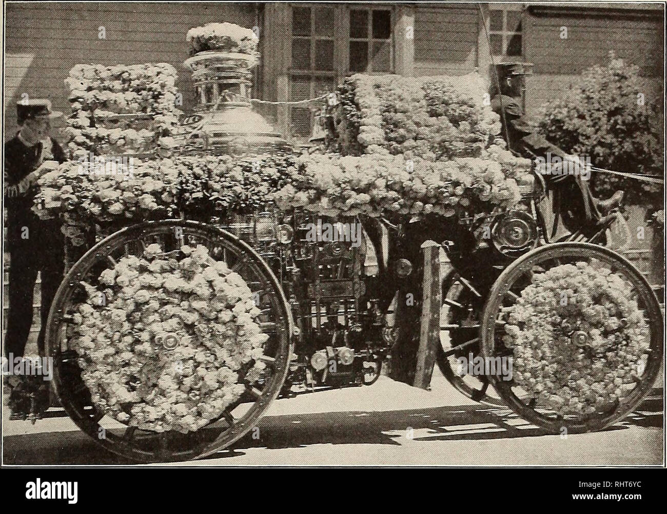 . Bessere Früchte. Obst - Kultur. igii bessere Früchte Seite 2^. ROSE - WREATHED FIRE ENGINE IN PORTLAND, Oregon, ROSE FESTIVAL PARADE, 1910 Anfang im Frühjahr. Wenn Sie sind so gelegen, dass Sie diesen dann Mulchen nicht mit gut verrottetem Dünger und Graben, der in früh im Frühling, mit künstlichen Dünger im Frühjahr und Frühsommer. Herbst Pflanzung von zwei Jahre alten Büsche von Hybrid unbefristet und Edelrosen ist das Beste. Ich habe noch nie verloren, einen einzigen Fall rose gepflanzt, und das späte Frühjahr einpflanzen hat mich kosten Viele Büsche. Aber fall Anpflanzen muss gut gemacht sein. Fol-Genden die Regel für die preparati Stockfoto