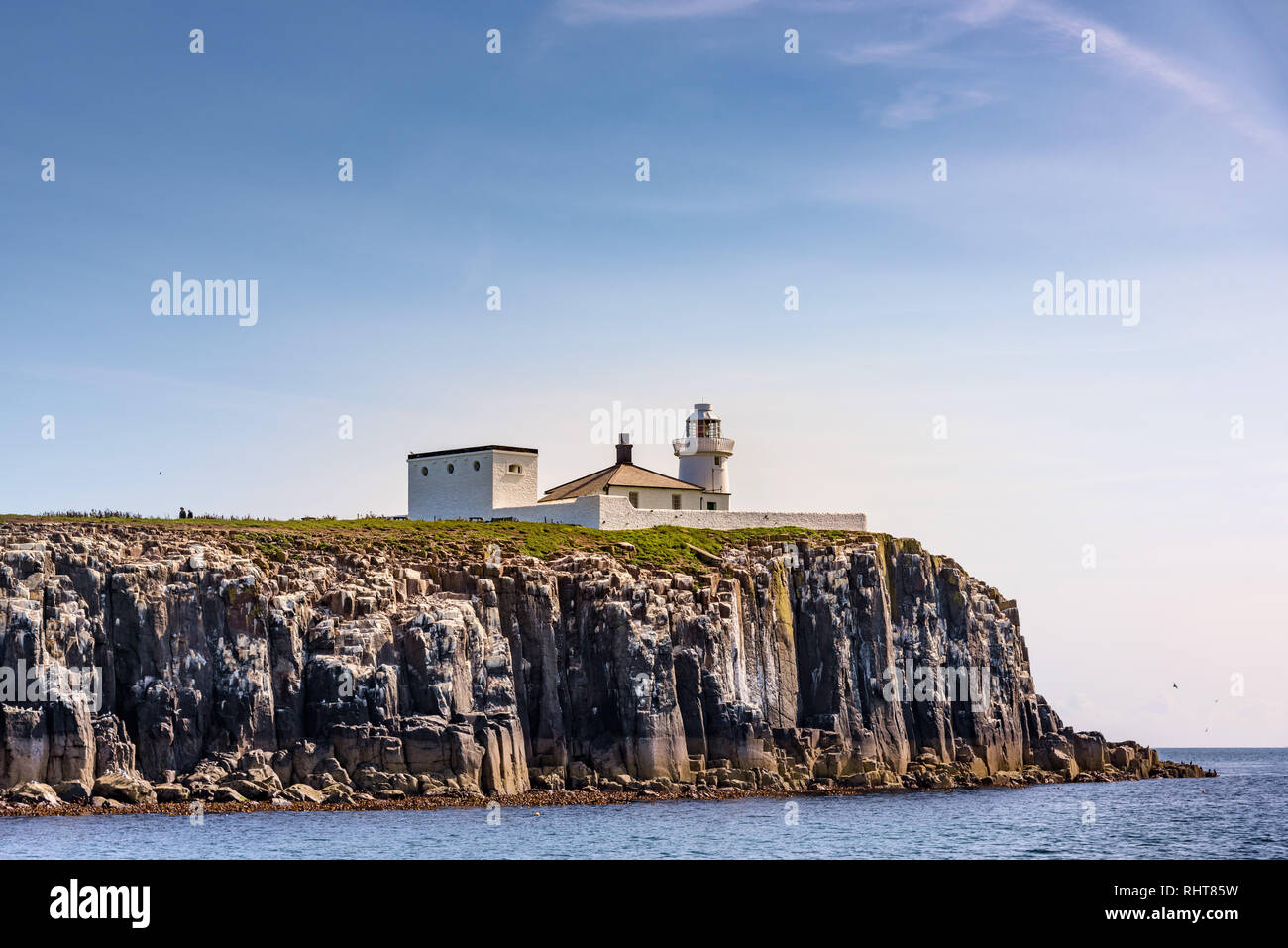 Leuchtturm, Farne Islands, Northumberland, Großbritannien Stockfoto