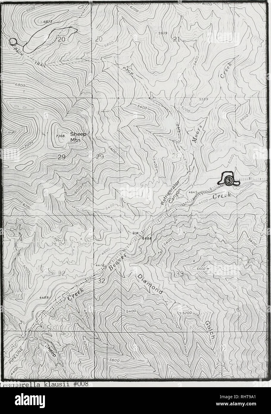 . Sensible pflanze Erhebungen in den Großen Belt und Elkhorn Mountains, U.S.D.A. Forest Service, Region 1, Helena National Forest, Montana. Seltene Pflanzen, seltene Pflanzen, seltene Pflanzen; Botanik; Botanik; Botanik. Lesquerella kiausii Hogback Mt Quad. Bitte beachten Sie, dass diese Bilder sind von der gescannten Seite Bilder, die digital für die Lesbarkeit verbessert haben mögen - Färbung und Aussehen dieser Abbildungen können nicht perfekt dem Original ähneln. extrahiert. Poole, Jackie M; Heidel, Bonnie L; Helena National Forest (Mont. ); Montana natürlichen Erbes Programm. Helena, Mont: Montana natürlichen Erbes Pr Stockfoto