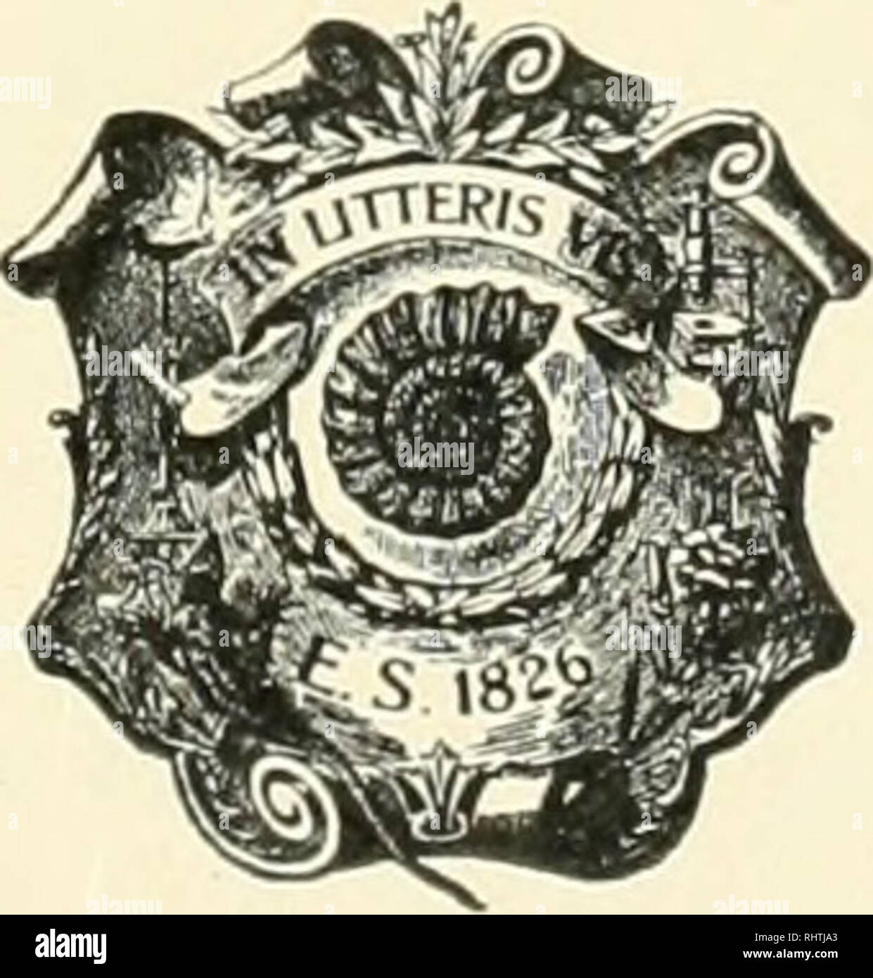 . Bibliotheca Botanica. Pflanzen. Zur Blüten-Entwickelung der Labiaten, Verbenaceen und Plantaginaceen. Von Wilhelm Lang Assistenten am Botanischen Institut in Hohenheim. Mit 5 Abb... STUTTGART. E. Schweizerbartsche Verlagsbuchhandlung (E. Nägele). 1906.. Bitte beachten Sie, dass diese Bilder sind von der gescannten Seite Bilder, die digital für die Lesbarkeit verbessert haben mögen - Färbung und Aussehen dieser Abbildungen können nicht perfekt dem Original ähneln. extrahiert. Stuttgart, E.Schweizerbart [etc. ] Stockfoto