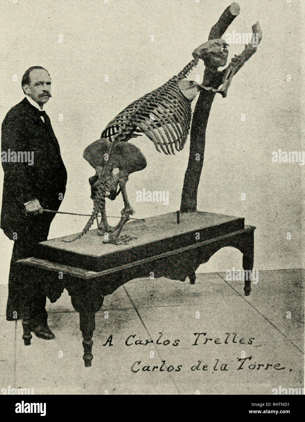 . Biblioteca cientfica cubana. Kubanische Literatur - - Bibliographie; Wissenschaft - Bibliographie; Kuba -- Bibliographie. Í? é 1 í/oi¿t/, í¡: c ¿ auf Uc ¿¿J¡yac. (e/ü/c?r&lt; ¡. Cl*-L Meáélótn ÍA. "J fúcLe2i¿. J J10j*j Jé.. Bitte beachten Sie, dass diese Bilder sind von der gescannten Seite Bilder, die digital für die Lesbarkeit verbessert haben mögen - Färbung und Aussehen dieser Abbildungen können nicht perfekt dem Original ähneln. extrahiert. Trelles, Carlos M. (Carlos Manuel), 1866-1951. Matanzas, Impr.de J. F. Oliver Stockfoto