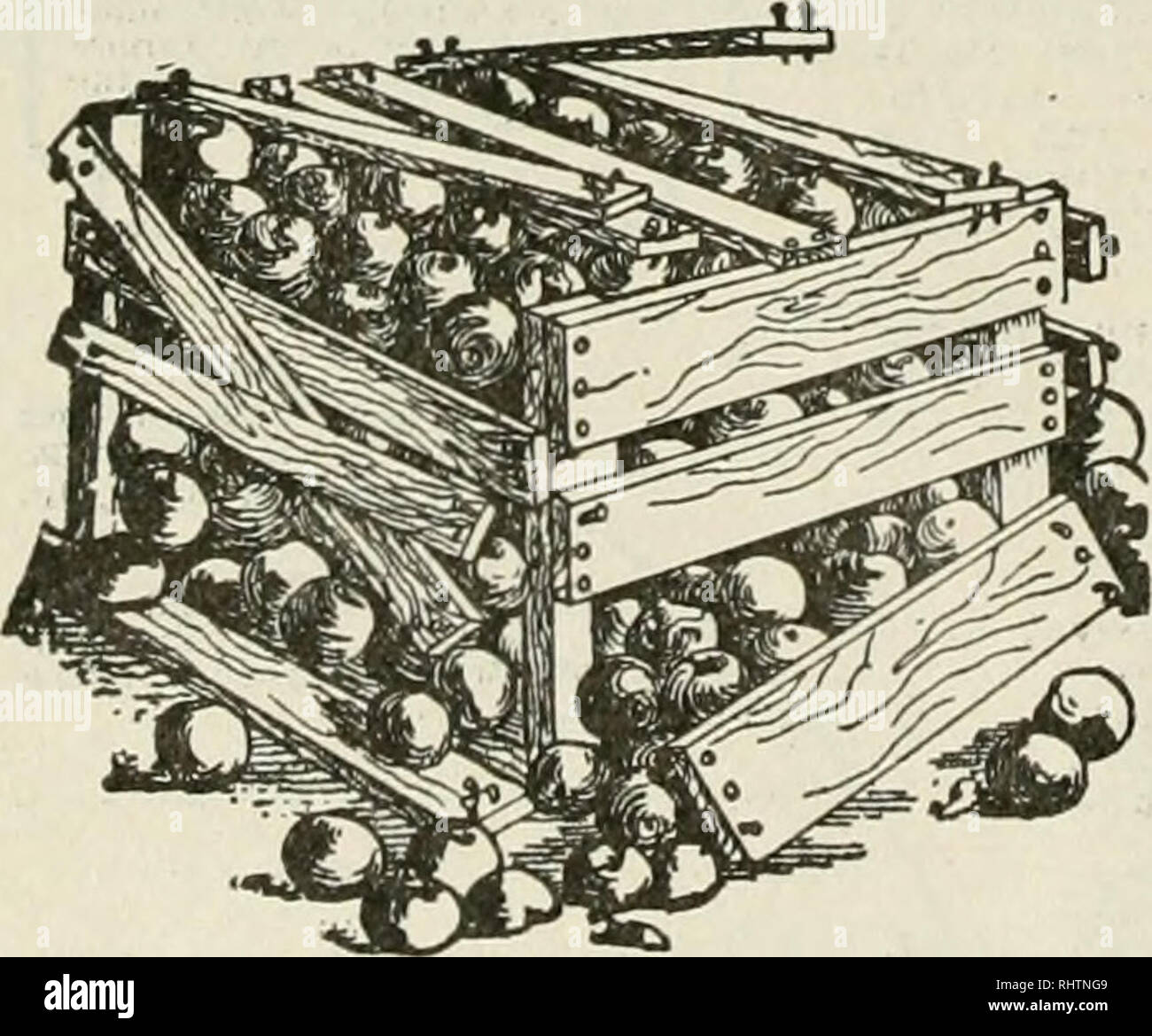 . Bessere Früchte. Obst - Kultur. Feed die Gopher "Holz" Lerche" und speichern Sie Ihre Obstbäume Ort einige in Gopher läuft, zu Lochfraß spuds oder andere Hackfrüchte angrenzenden und sparen viel von ihrem Verlust aus diesen Raubgierigen kleine Tiere durch den Winter. Ein besprühen gelegentlich auch auf dem Sparren Platten in der Scheune wird Sie bald loszuwerden, Eichhörnchen, Ratten, etc., und Sie viele einen Scheffel Feed speichern und schützen, die Stapel der leeren Säcke, in denen, die jedes Frühjahr finden Sie so viele zerbissen worden sind. Sie alle Wie ** Wood-Lark^' wenn Ihr Händler hat noch keine, Schreiben uns Clarke-Woodward Droge Co Portland, Oregon. Wes Stockfoto