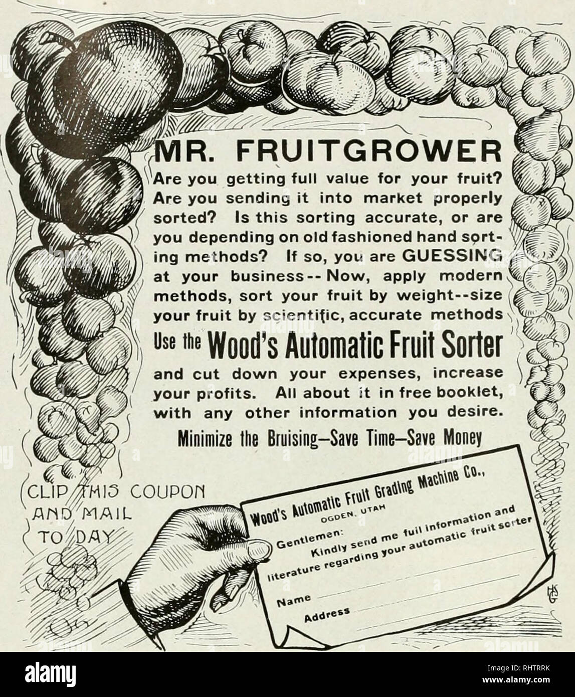 . Bessere Früchte. Obst - Kultur. Seite 40 bessere Früchte August. Verbesserte Metal Age Stativ Obstgarten und Gerüste keine Nägel oder Schrauben ZU LÖSEN ABSOLULELY DEN BESTEN LEITERN Effizienz Sicherheit Langlebigkeit Stärke fragen Sie Ihren Händler, um Ihnen zu zeigen. Wenn er nicht halten Sie nicht eine Substi- tute akzeptieren, aber schreiben Sie uns. Geschichte Manufacturing Co. 1538-1541 Macadam Street Portland Oregon. Bitte beachten Sie, dass diese Bilder aus gescannten Seite Bilder, die digital für die Lesbarkeit verbessert haben mögen - Färbung und Aussehen dieser Abbildungen können nicht genau mit dem ursprünglichen wor ähneln extrahiert werden Stockfoto