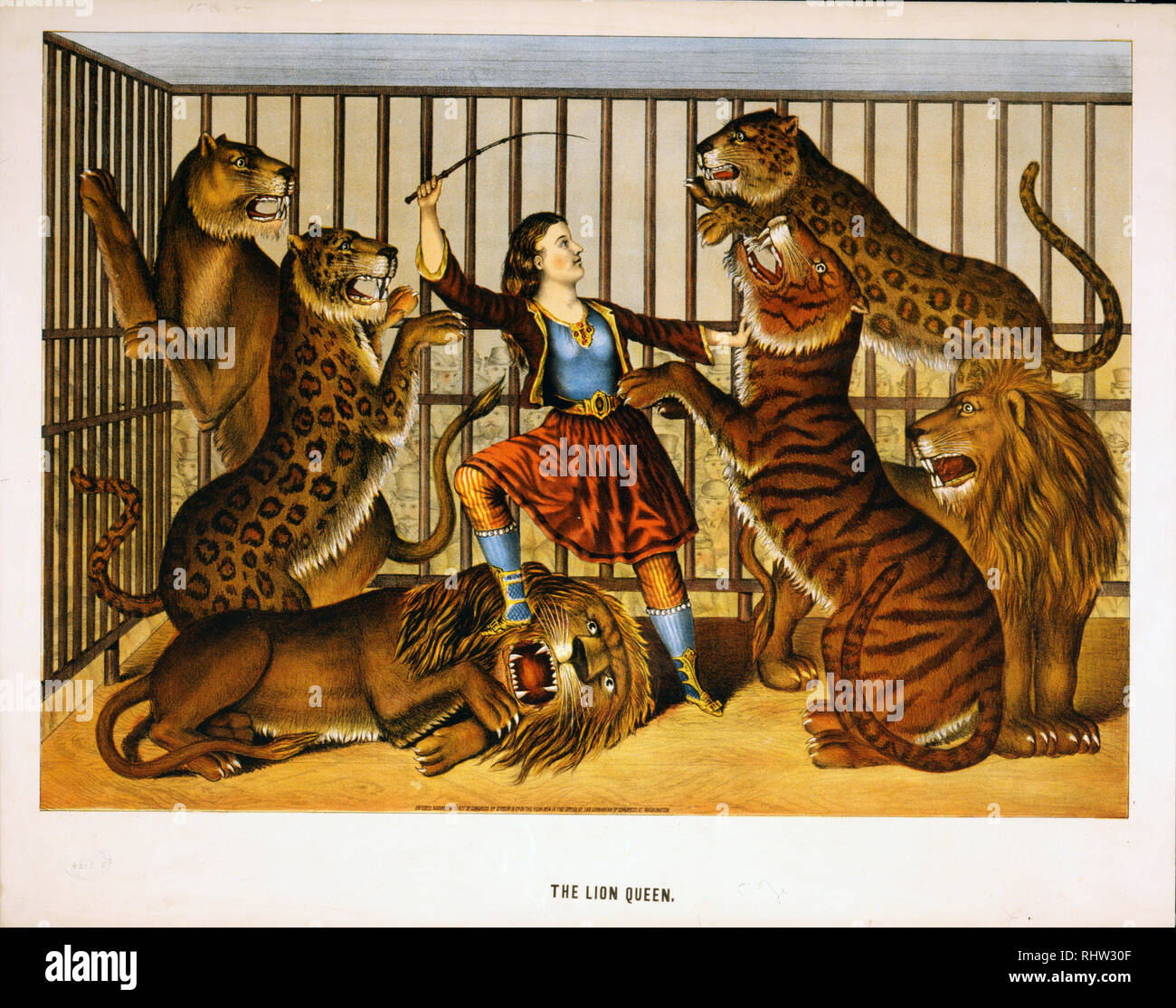 Der Lowe Frau Drucken Zeigt Eine Frau Von Lion Tamer In Einem Kafig Mit Mehreren Lowen Und Tiger Ca 1874 Stockfotografie Alamy