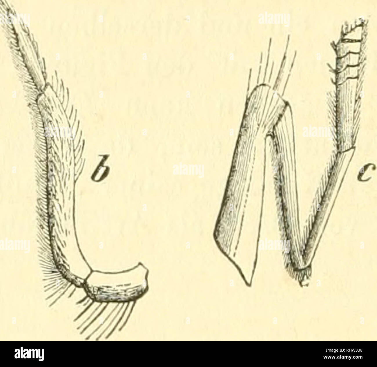 Dbld Fotos und Bildmaterial in hoher Auflösung Alamy