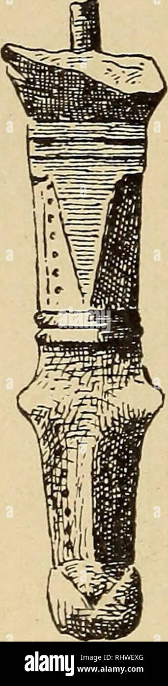 . Bergens Museen aarbog. Wissenschaft. 34 Eyvind de Lange. [Nr. 3 Tät ind til gravens n.v. langside Mellem murens grundstener Laa et par hegter av Sølv, Abb. 33, som R. 271 med Krok og malje, desuten brudstykker av endnu et par Til disse hegter var faestet et sto f, der saa ut som 5,2Km; Männer der fandtes intet som Kunde gi en antydning om, hvad det har vaeret. Ich gravens midtparti og naermest den S.v. langvaeg Laa en Stor jernkniv, Abb. 34, med øverste avbrutt Tange, hvis del var knaekket. Paa tangen var rester av traehaandtaket. Samlede laengde Knivens var 21,5 cm., hvorav 11 cm. falder paa tangen. Kniven Stockfoto