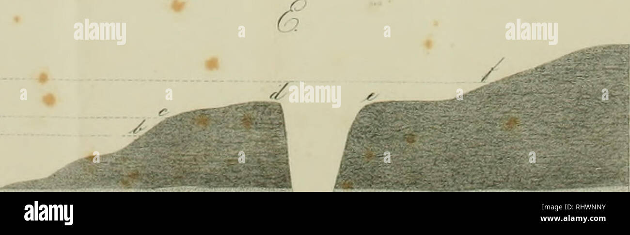 . Ãber die Natur der Schachtelhalme: insbesondere des Sumpf-Schachtelhalms oder Duwocks.... Equisetum. -. Â!" â â¢:?? 1 ["^;^,'. n â Â"'-*/-"-''rl*^'*.., (â Â¦â¢â¢.â ,.-:..]: ^. ii&gt;. Bitte beachten Sie, dass diese Bilder sind von der gescannten Seite Bilder, die digital für die Lesbarkeit verbessert haben mögen - Färbung und Aussehen dieser Abbildungen können nicht perfekt dem Original ähneln. extrahiert. Meyer, G. F. W. (Georg Friedrich Wilhelm), 1782-1856; Meyer, G. F. W. (Georg Friedrich Wilhelm), 1782-1856. Flora des KÃ¶nigreichs Hannover. Göttingen: Gedru Stockfoto