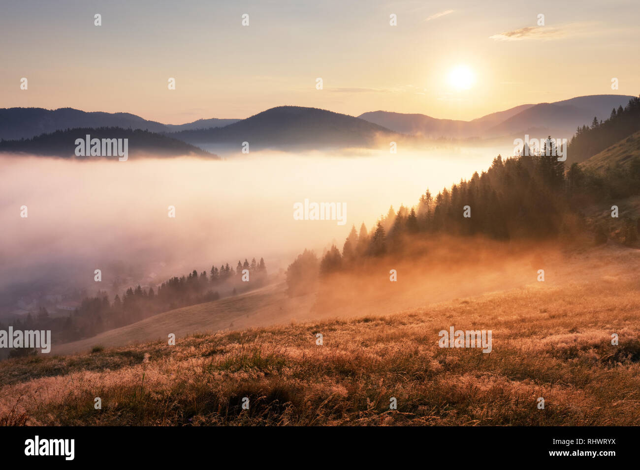 Landschaft mit Sonne, Wiese, Wald und Gebirge. Stockfoto