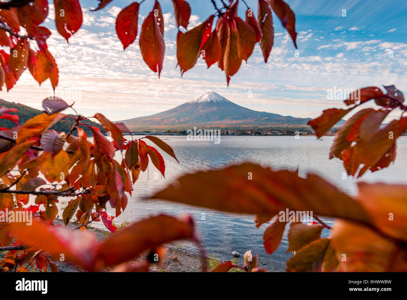 Mount Fuji und Blätter im Herbst Stockfoto