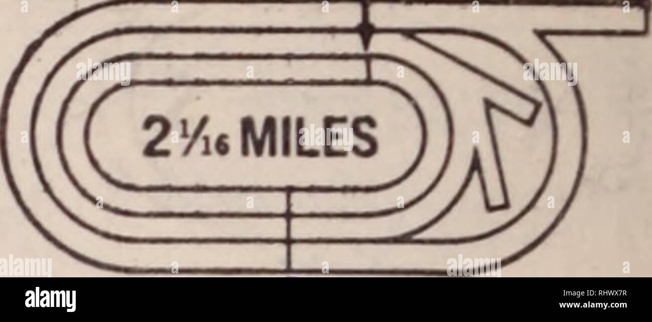 . Belmont Park kostenlose offizielle Programm.. Belmont Park (Elmont, N.Y.); Pferderennen; Rennstrecken (Pferderennen). Hurdte Kurs im1 3^ dritten Rennen der ÖDIPUS HANDICAP GELDBÖRSE $ 12.000. Hürden - für Gießen-Jahr-olds UND NACH OBEN geschlossen mit 17 Nomina- gen, von denen 7 deklariert zwei und ein SECHZEHNTEL MEILEN Track Record: Bold Bettler (8), 152 lbs., Juni 17, 1970, 3:40 3-5 Skala Wt.: 4 Jahre, 144 lbs., 5 Jahre, 155 lbs; ältere, 157 lbs Fragen für Pferd von Programm Nummer.. Nr. EIGENTÜMER TRAINER Morgen Linie und Jockey 1 (CHANCE HILL FARM T.M. WALSH Green, White Diamond Rahmen weiß Diamanten auf Sleev Stockfoto
