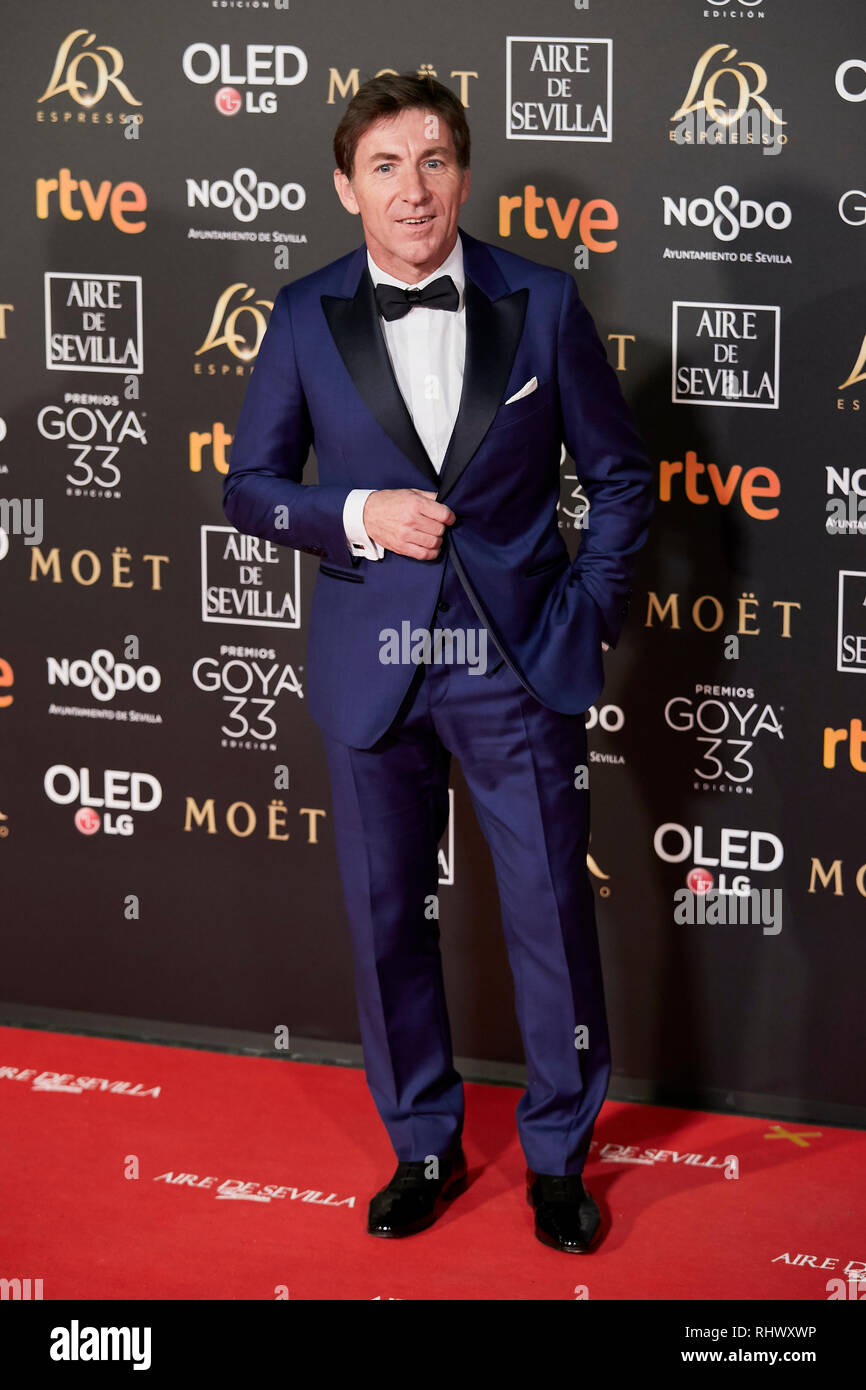 Antonio de la Torre kümmert sich das Goya Kino Awards 2019 an fibes Konferenz- und Ausstellungszentrum. Stockfoto