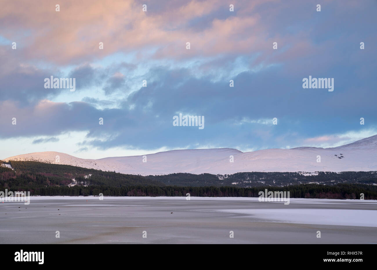 Aviemore, Schottland. 4. Feb 2019. UK Wetter: Dies ist Loch Morlich in der Nähe von Aviemore, Schottland, UK am Montag, den 4. Februar 2019, die wegen der kalten Witterung, die den Norden von Schottland geschlagen hat, eingefroren hat. Credit: JASPERIMAGE/Alamy leben Nachrichten Stockfoto