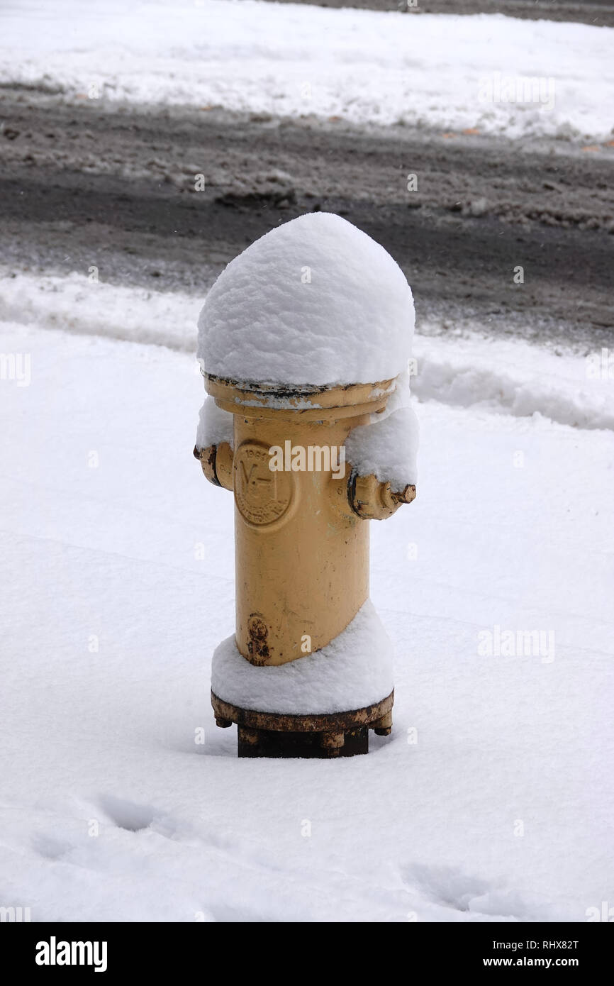 Hydranten von Schnee bedeckt Stockfoto