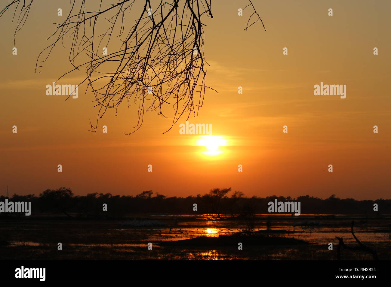 Reflexion der Sonne / Sonnenuntergang in Bharatpur Vogelschutzgebiet/Keoladeo Nationalpark Stockfoto