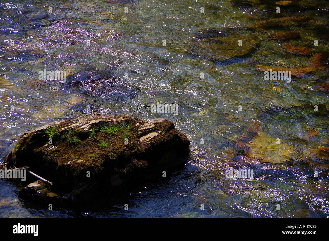 Steinblock mit Gras Vegetation in das fließende Wasser Stockfoto