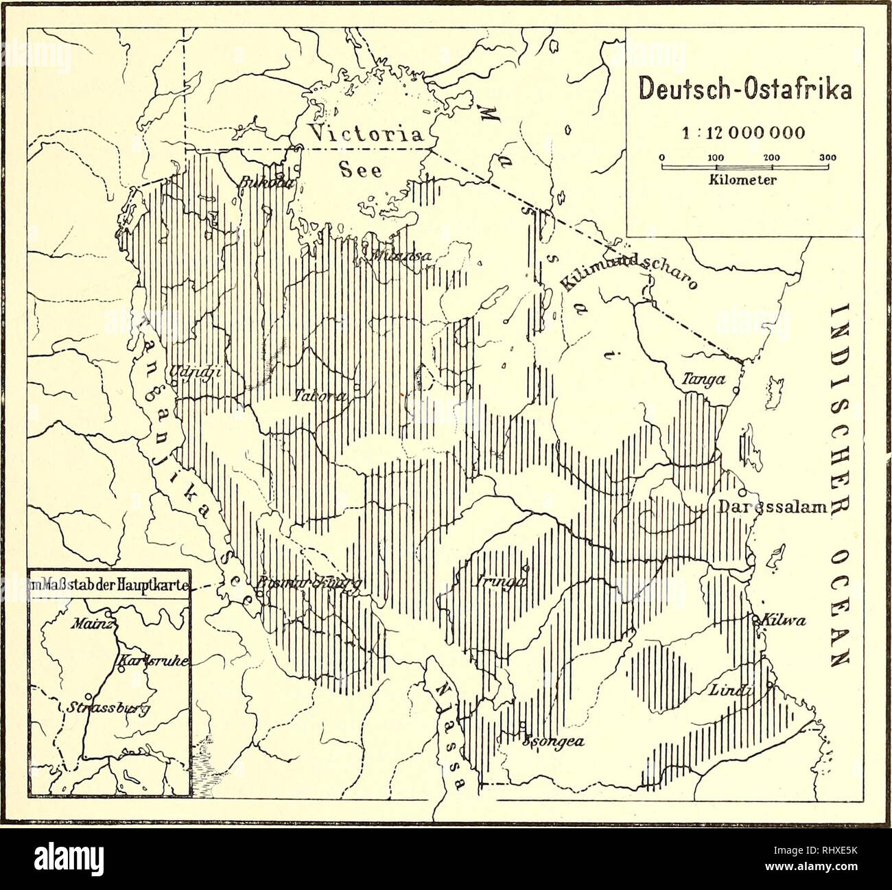 . Beiträge zur / von Ostafrika. Pflanzen, Pflegen, Pflanzen, kultiviert; Pflanzen, kultiviert; Tiere; Haustiere; Tiere; Landwirtschaft; Landwirtschaft; Landwirtschaft. - 75 - Kulturen durchsetzt, findet sich dann wieder westlich vom Tanganika, soweit nicht der geschlossene Urwald reicht, in dem es fehlt. Wie schon erwähnt, spielt Sorghum in der Wirtschaft des ostafrikanischen Negers sterben erste Rolle und ist nur stellenweis durch Neueinführungen wie Mais und Maniok zurückgedrängt. Es bildet in den meisten Teilen unseres Gebietes den Grundstoff der Ernährung, Haup Stockfoto