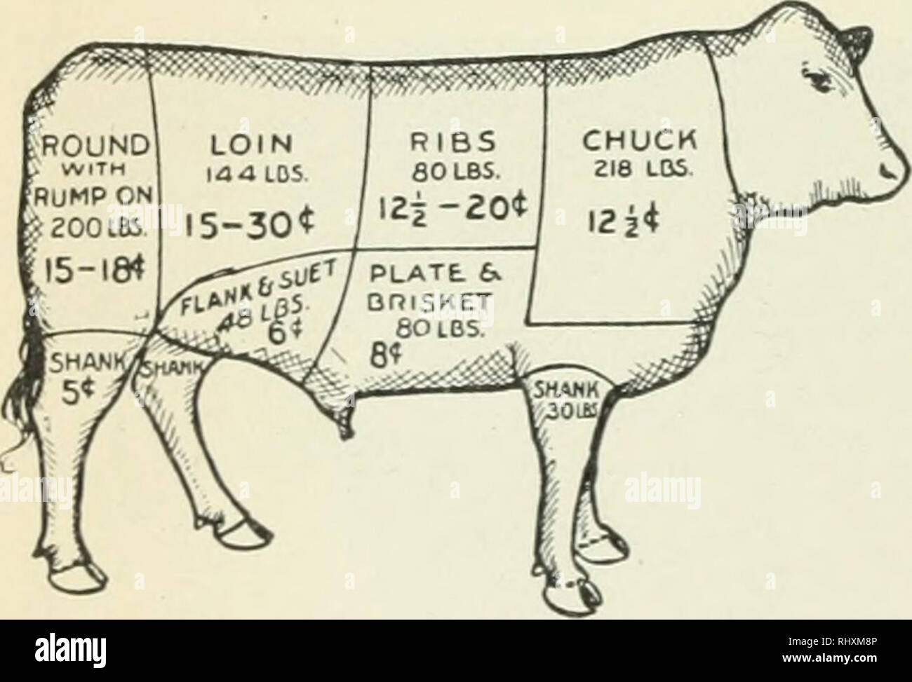 . Anfänge in der Tierhaltung. Vieh und Geflügel. 174 Anfänge IN DER TIERHALTUNG BEURTEILEN RINDER Die Form der Rindfleisch von Tieren, wie sie von der score card, die folgt, sollte Breite, Tiefe und Com-pactness zeigen. Dann wenn dies beinhaltet ein ausgezeichnetes Maß an Fett-ness über dem Körper, knoAvn als Zustand, der Schlächter von solch einem Kadaver der größte Prozentsatz der wertvollsten Teile erhalten. Einige Autoren auf die UVE-Lager haben Com - der Körper Fett von Rindern zu einem Rechteck, wenn von einer Seite gesehen. Der Körper des Tieres, mit Ausnahme der Kopf, Hals und Beine, wäre sehr gut Stockfoto