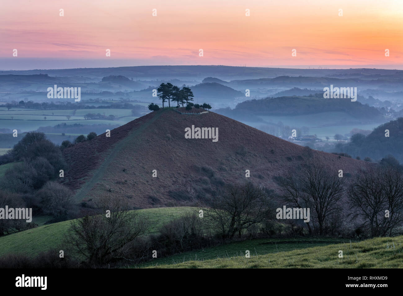 Colmers Hill, Symondsbury, Dorset, England, Vereinigtes Königreich Stockfoto