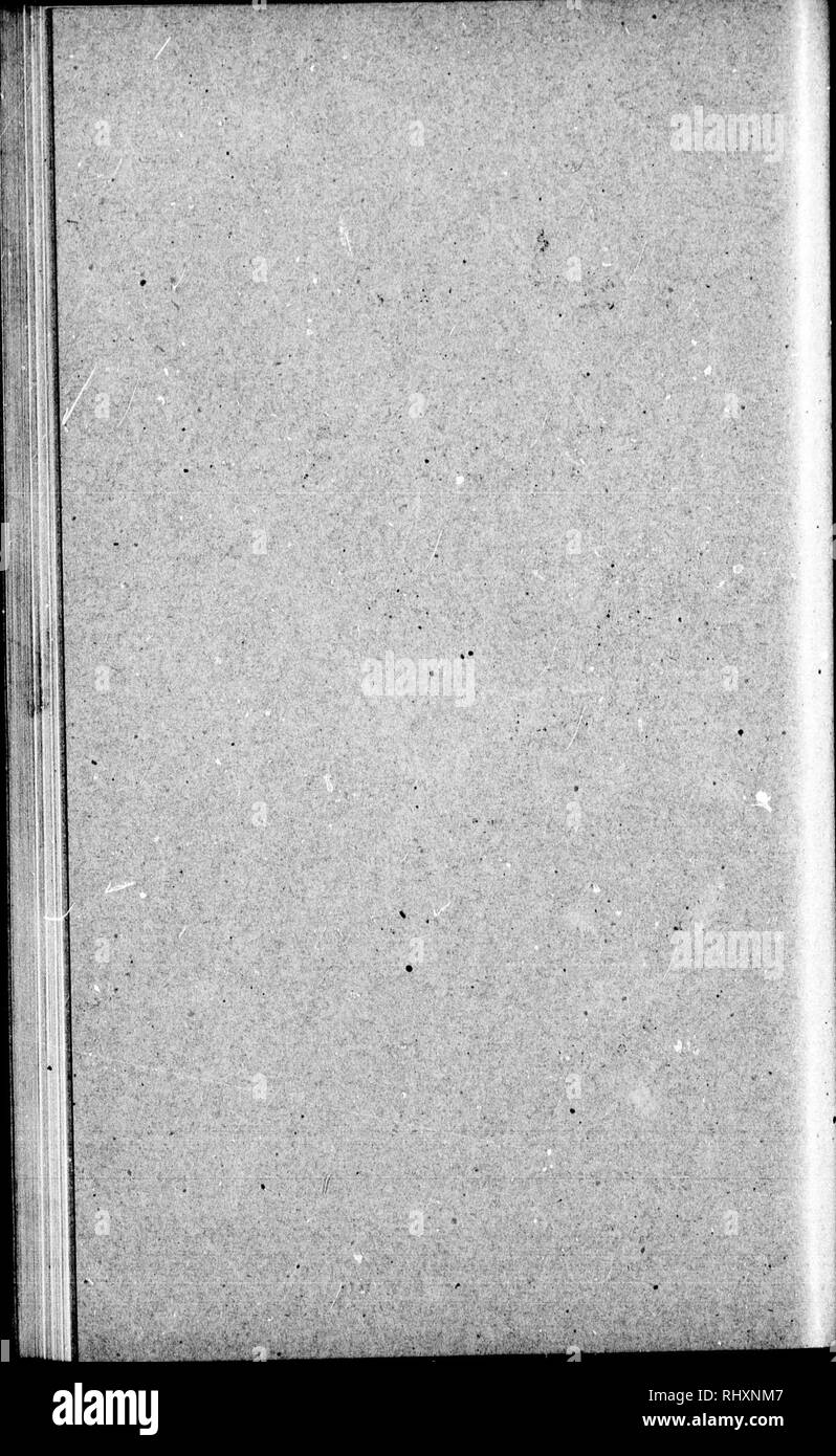 . Eine Flora im Nordwesten von Amerika [microform]: enthält kurze Beschreibungen aller bekannten einheimischen und eingebürgerten Anlagen ohne Anbau nördlich von Kalifornien wächst, westlich von Utah und im Süden von British Columbia. Botanik; Phanerogamen; Botanique; Phanérogames. . Bitte beachten Sie, dass diese Bilder sind von der gescannten Seite Bilder, die digital für die Lesbarkeit verbessert haben mögen - Färbung und Aussehen dieser Abbildungen können nicht perfekt dem Original ähneln. extrahiert. Howell, Thomas, 1842-1912. Portland, OR. : [S. n. ] Stockfoto