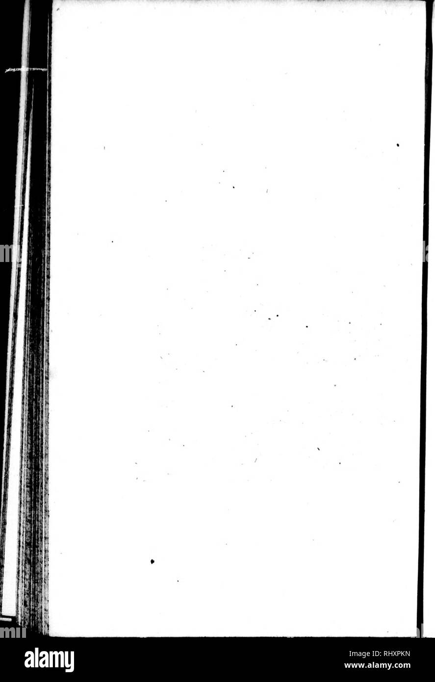 . Die Naturgeschichte der Vögel [microform]: Aus dem Französischen von Graf de Buffon. Ornithologie; Vögel; Ornithologie; Oiseaux. . Bitte beachten Sie, dass diese Bilder sind von der gescannten Seite Bilder, die digital für die Lesbarkeit verbessert haben mögen - Färbung und Aussehen dieser Abbildungen können nicht perfekt dem Original ähneln. extrahiert. Buffon, Georges Louis Leclerc, comte de, 1707-1788. London: Gedruckt für A. Strachan und T. Cadell in der Faser, und J. Murray. .. Stockfoto
