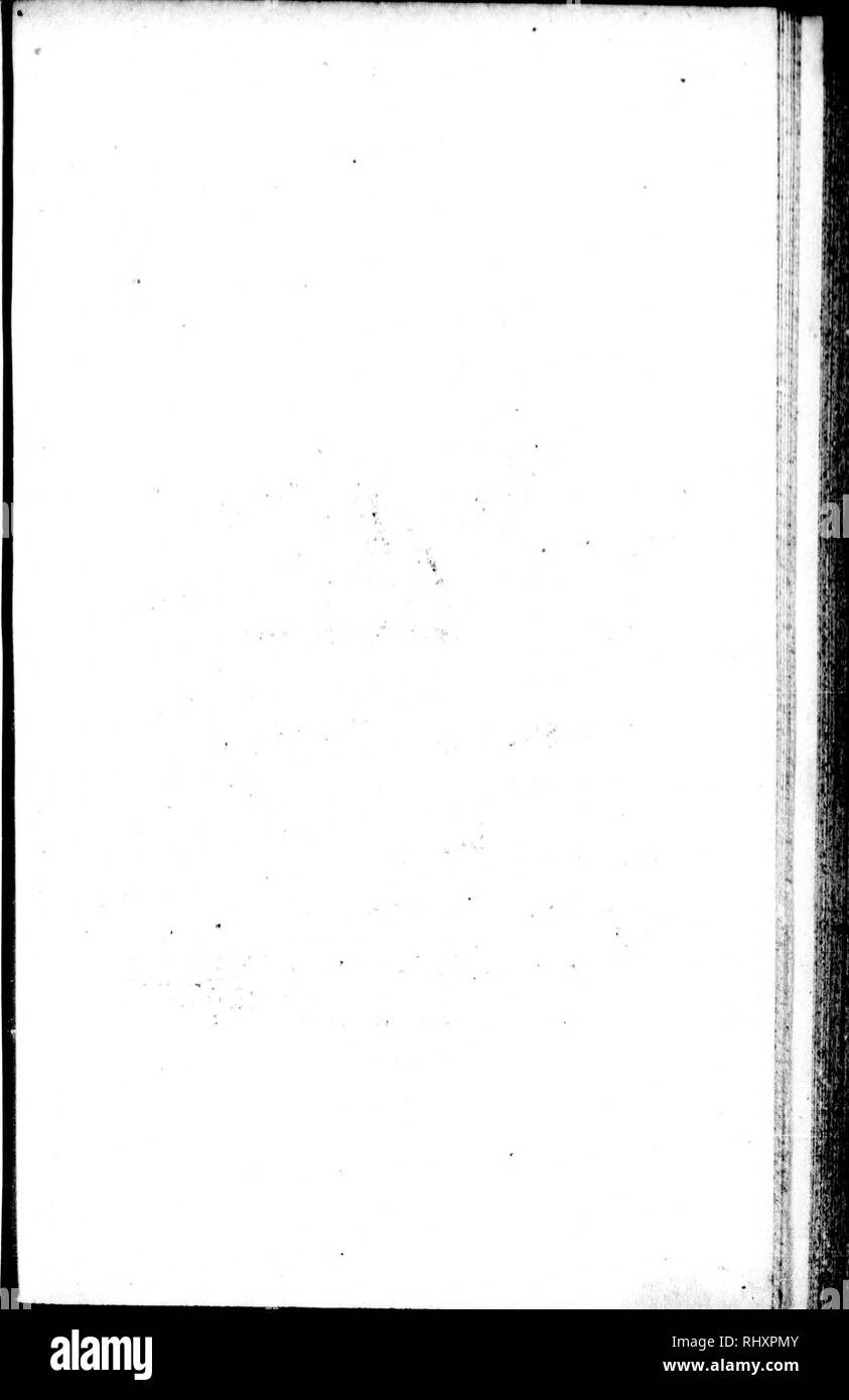 . Die Naturgeschichte der Vögel [microform]: Aus dem Französischen von Graf de Buffon. Ornithologie; Vögel; Ornithologie; Oiseaux. . Bitte beachten Sie, dass diese Bilder sind von der gescannten Seite Bilder, die digital für die Lesbarkeit verbessert haben mögen - Färbung und Aussehen dieser Abbildungen können nicht perfekt dem Original ähneln. extrahiert. Buffon, Georges Louis Leclerc, comte de, 1707-1788. London: Gedruckt für A. Strachan und T. Cadell in der Faser, und J. Murray. .. Stockfoto