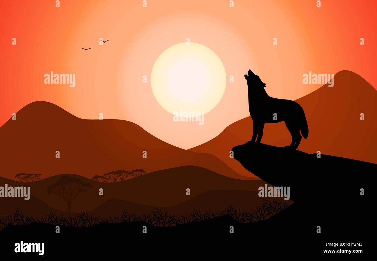 Howling Wolf bei Sonnenuntergang steht auf einem Felsen Stock Vektor
