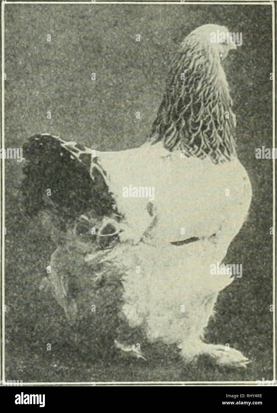 article thumbnail